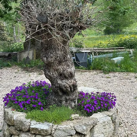 Loft La Soleillade *