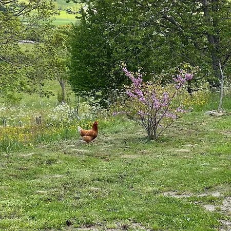 דירה Loft La Soleillade *