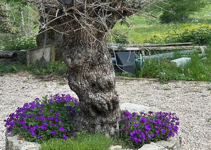 Loft La Soleillade *