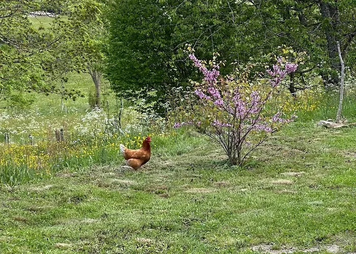 Apartment Loft La Soleillade *